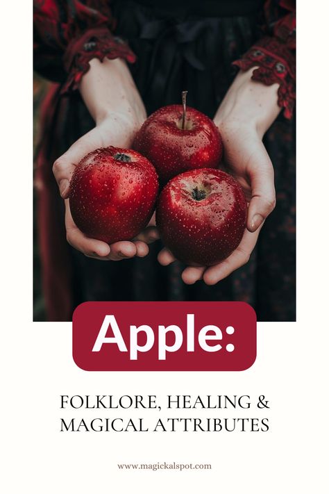 Delve into the enchanting world of 🍎 Apples in 'Folklore, Healing & Magical Attributes.' Discover the fruit's rich history in mythology, its healing properties, and magical uses for love, health, and abundance. 🌿✨ Perfect for kitchen witches and herbal enthusiasts, learn how to incorporate apples into spells and rituals. Embrace the sacred and nourishing energy of apples in your magical practice. 🍏🔮 Apple Magical Properties, Witchcraft Resources, Witchcraft Meaning, Apple Meaning, Cleansing Spells, Kitchen Witches, British Folklore, Witchcraft Diy, Maiden Mother Crone