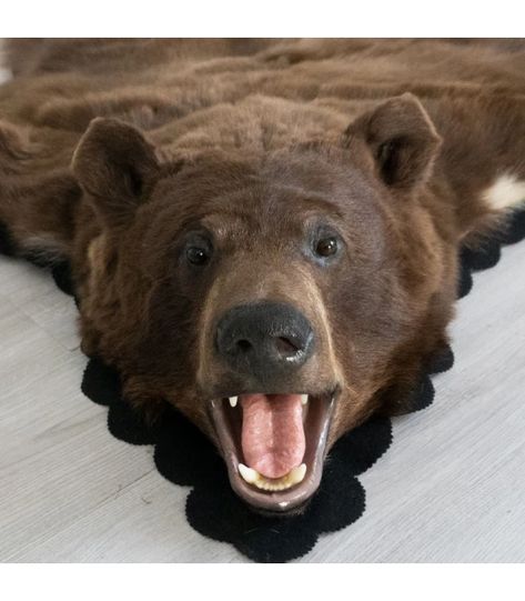 Black Bear Skin Rugs : Bear Skin Rug Sale at Bear Skin World Bear Skin Rug, Animal Skin Rug, Calamity Jane, Skin Rugs, Bear Rug, We Bear, Animal Skin, Black Bear, Rug Sale