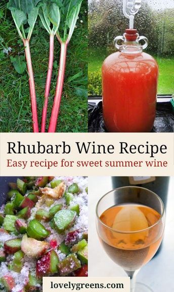 Rhubarb Wine Recipe, Rhubarb Wine, Wine Making Recipes, Homemade Wine Recipes, Mead Recipe, Homemade Alcohol, Wine Recipe, Liqueurs Recipes, Fermentation Recipes