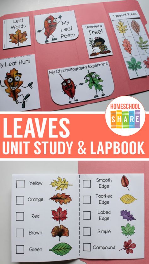 Homeschool Holidays, Study Printables, Homeschool Nature Study, Free Homeschool Printables, Free Preschool Worksheets, Homeschool Printables, Thematic Units, Book Labels, Free Homeschool