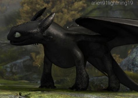 I removed gear and saddle because Toothless from httyd 2 is only Toothless which we don't see without gear and saddle. I hope you like it. If you use like base please credit me. Wild Night Fury, Httyd Base, Dragon Hiccup, Base Edit, Toothless Night Fury, Train Dragon, Httyd Art, Wild Night, Httyd Dragons