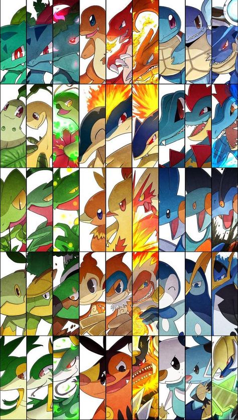 Types Of Pokemon, Kartu Pokemon, 3d Pokemon, Pokémon Heroes, Gijinka Pokemon, Pokemon Mew, Pokemon Starters, Mega Pokemon, Cool Pokemon Wallpapers