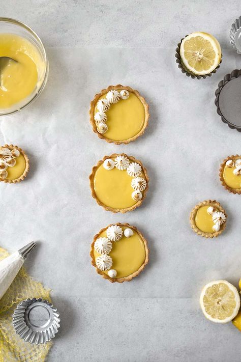 Meringue Piping, Lemon Meringue Tarts, Mini Tart Recipes, Lemon Tarts, Lemon Meringue Tart, Curd Filling, Lemon Curd Filling, Tart Molds, Pastry Shells