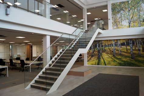 Straight staircase with glass balustrading #straight #staircase #glass #balustrading #office Straight Flight Staircase Design, U Shaped Stairs, L Shaped Stairs, Winder Stairs, Commercial Stairs, Staircase Interior, Straight Stairs, Staircase Interior Design, Staircase Landing