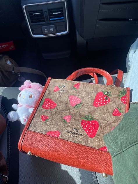 Strawberry Coach Bag, Coach Strawberry Bag, Coach Strawberry, Girly Vibes, Dream Bags, Sanrio My Melody, Brand Clothes, Girly Bags, Girl Things