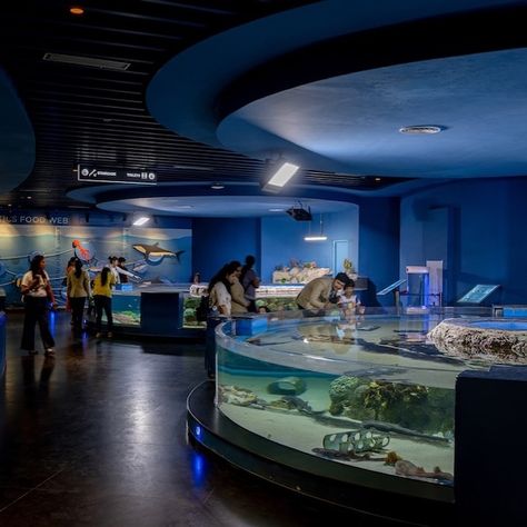 Aquatic Gallery at Science City, #Ahmedabad, India by INI Design Studio @inidesignstudio. 🔗 https://www.amazingarchitecture.com/museum/aquatic-gallery-at-science-city-ahmedabad-india-by-ini-design-studio Photography: Vinay Panjwani @panjwani.vinay. INI Design Studio: In this emerging environment of knowledge-driven economic growth, it is imperative to inculcate a scientific temper in the community. The Gujarat Council of Science City, established by the Government of Gujarat, has developed... Science City Ahmedabad, Economic Growth, The Government, Ahmedabad, Amazing Architecture, The Gap, The Community, Studio Photography, Government