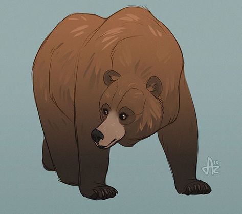 Bear Character Design, Animal Concept, Draw Animals, Bear Character, Bear Drawing, Character Sketches, The Fox And The Hound, Tuesday Morning, Bear Art