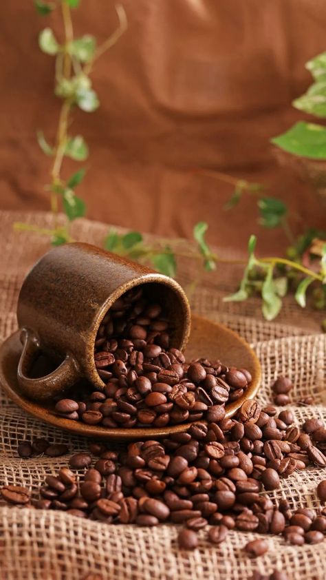 Coffee Beans Photography, Coffee Shot, Coffee Wallpaper, Coffee Pictures, Coffee Photos, Coffee Photography, Good Morning Coffee, Happy Summer, Speciality Coffee