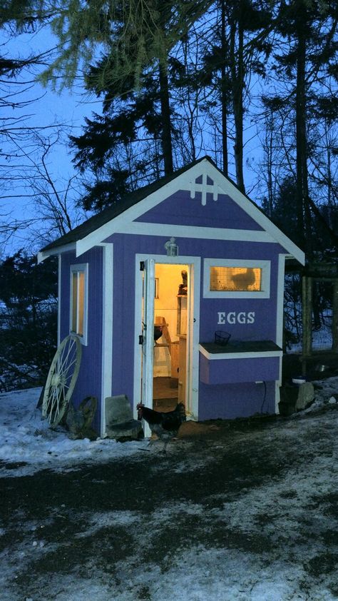 Purple chicken coop lit up at night Purple Chicken Coop, Hen House, Chicken Coop, Coop, Hen, At Night, Light Up, Shed, Outdoor Structures