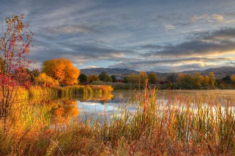 Autumn Landscape Photography, Reflection Pictures, Fall City, Pond Painting, Fall Beach, Fall Landscape Photography, Fall Landscape, Fall Watercolor, Autumn Scenery