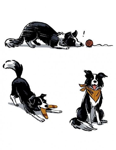 18 Adorable Border Collies That Are Here to Help Brighten Your Day | Page 3 of 5 | PetPress Vera Brosgol, Border Collie Tattoo, Border Collie Colors, Border Collie Art, Cartoon Dogs, 강아지 그림, Border Collie Dog, Comics Artist, Collie Dog