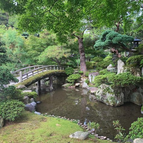 Japanese Garden Aesthetic, Kyoto Imperial Palace, Japan Countryside, Kyoto Garden, Japanese Countryside, Palace Gardens, Mont Fuji, Palace Garden, Imperial Palace