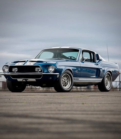 Shelby Mustang Gt500, Ford Mustang Classic, Shelby Car, Vintage Mustang, Old Muscle Cars, Ford Mustang Shelby Gt500, Mustang Ii, Shelby Gt, Ford Shelby