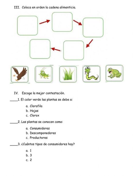 Science Activities For Kids, School Subjects, Science Activities, Detective, Activities For Kids, Aurora, Science, Coding, Education