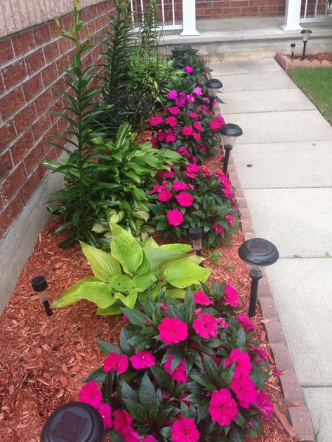 Bright Front Yard Landscaping, Entryway Flower Bed Ideas, Vine Climbing Ideas, Flower Bed Ideas For Beginners, Front Yard Flower Beds Against The House, Front Of Home Landscaping Ideas, Front Garden Landscape, Small Front Yard Landscaping, Front Yard Garden Design