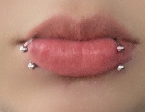 Sharkbite Piercing, Snakebite Piercing Lip, Snake Bite Piercing Lips Ring, Shark Bites Piercing Rings, Snake Bites Lip Piercing, Fang Peircings, Spike Snake Bites Piercing, Spider Bites Piercing, Snakebite Piercing