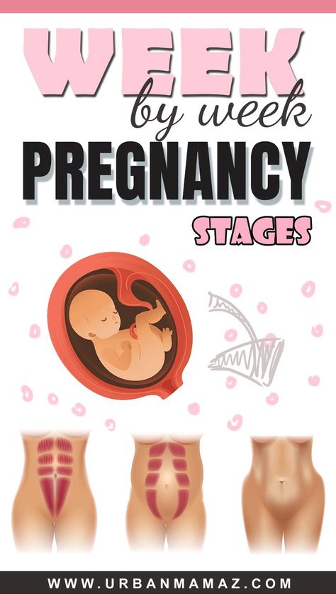 On a normal ground, a pregnancy takes about 40 weeks from the very first day that the last menstrual period took place to the day that the baby is born. The last menstrual period, also called LMP, is about two weeks preceding the period when the conception really took place. Follow your pregnancy with our Pregnancy week by week guide! Stages Of Pregnancy Weekly, Pregnancy Day By Day, Ovulation Symptoms, Pregnancy Side Effects, Week By Week Pregnancy, Weeks Of Pregnancy, Estrogen Hormone, Pregnancy Week, Low Estrogen Symptoms