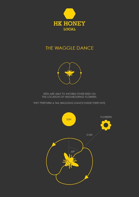 Bee Diagram, Bee Dance, Diy Furniture Polish, Bee Poster, Honey Bees Keeping, Primary Songs, Buzz Bee, Honey Packaging, Birds And The Bees