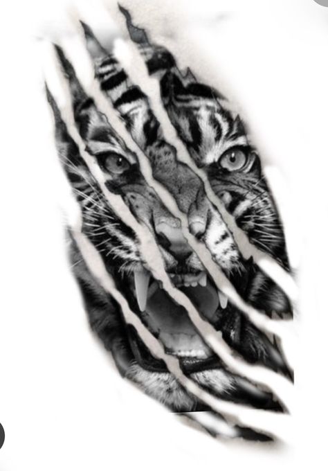 Animal Tattoos For Men Sleeve, Tiger Tattoo Design Men, Tiger Chest Tattoo, Tiger Claw Tattoo, Tattoo Lions, Mens Tiger Tattoo, Scratch Tattoo, Claw Tattoo, Animal Tattoos For Men