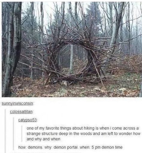 How? Demons. Why? Demon Portal. when? 5pm Demon Time. Minecraft Meme, The Meta Picture, Welcome To Night Vale, Night Vale, My Chemical, The Plan, Tumblr Posts, Tumblr Funny, In The Woods