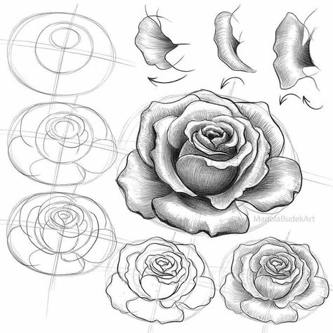 Artwork Portrait, Rose Sketch, Flower Drawing Tutorials, Flower Drawings, Flower Art Drawing, Art Drawings Sketches Pencil, Easy Flower, Rose Drawing, Architecture Drawing Art