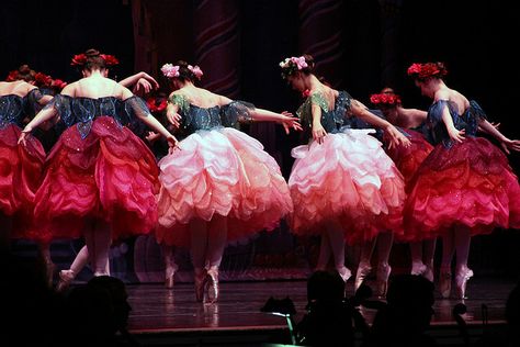 Waltz of the Flowers from The Nutcracker, Maine State Ballet. Photo by klickthis on Flickr. Beatiful Aesthetic, Waltz Of The Flowers, Nutcracker Costumes, Maine State, Ballet Beauty, Ballet Inspiration, Tutu Skirts, Classical Dance, Ballet Art