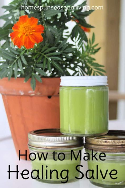 3 jars of healing salve stacked in front of a potted marigold. Beeswax Ideas, Herb Diy, Healing Salve, Salve Recipes, Healing Salves, Herb Seasoning, Natural Healing Remedies, Herbal Healing, Diy Remedies