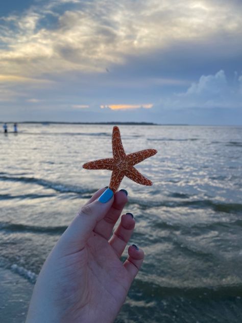 an orangey starfish in a hand with blue nails and in the background is the ocean with a colorful blue and fluffy, white clouded sunset Island Aesthetic, Edisto Island, San Lorenzo, Starfish, Summer Vibes, Quick Saves