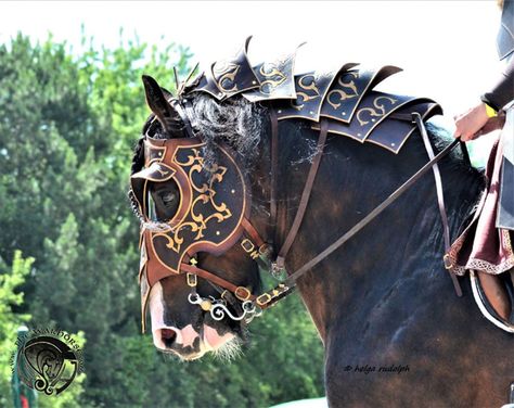 Happy holidays to all of you! ☀️☺️ . . . . #thewarhorse #warhorse #horsearmor #chamfron #shaffron #medieval #horse #knight #leatherart… Medieval Horse, Horse Mask, Face Jewelry, Horse Costumes, Horse Armor, Western Horse Tack, Fantasy Horses, Horse Gear, Horse Accessories