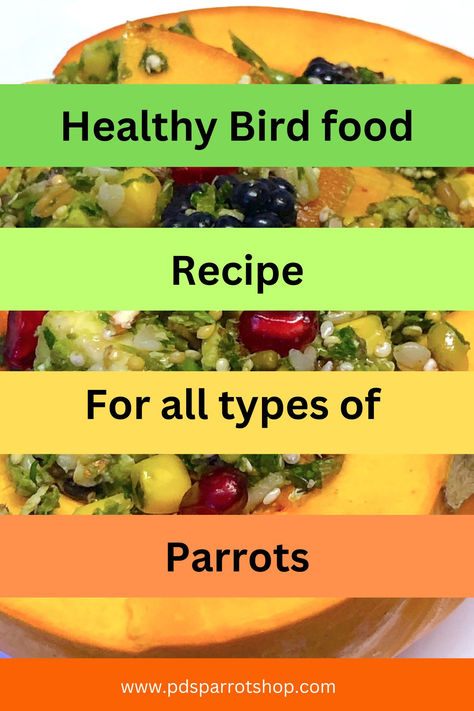 Bird Chop Recipe Parrot Chop Recipes, Parrot Chop, Parrot Diet, Bird Lady, Crazy Bird, Chops Recipe, Different Vegetables, Bird Food, Common Questions