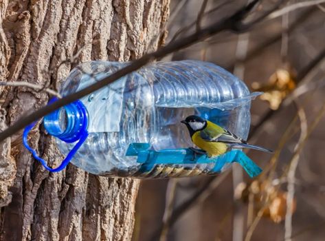 Homemade Bird Feeders, Diy Water Bottle, Wood Wall Art Diy, Diy Bird Feeder, Diy Birds, Vintage Garden Decor, Diy Water, Decoration Vintage, Best Kids Toys