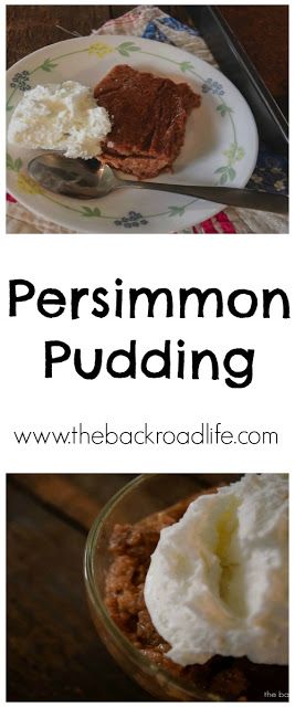 Persimmon pudding is an old fashioned classic custard type dessert to enjoy your favorite fall flavors Desert Board, Persimmon Pudding, Fall Party Food, Vegan Scones, Canned Blueberries, Gluten Free Flour Mix, Scones Ingredients, Vegan Blueberry, Favorite Dessert Recipes