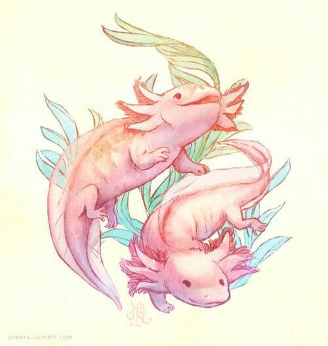 Axolotl Cute, Salamanders, On Hiatus, Creature Drawings, Background Art, Cute Animal Drawings, Cute Creatures, Art Background, Creature Art