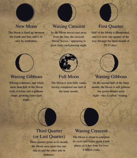 Free moon readings available now, link in bio New Moon And Full Moon, Full Moon Rituals, Moon Meaning, Spiritual Care, Moon Rituals, Moon Reading, New Moon Rituals, Witch Spirituality, Full Moon Ritual