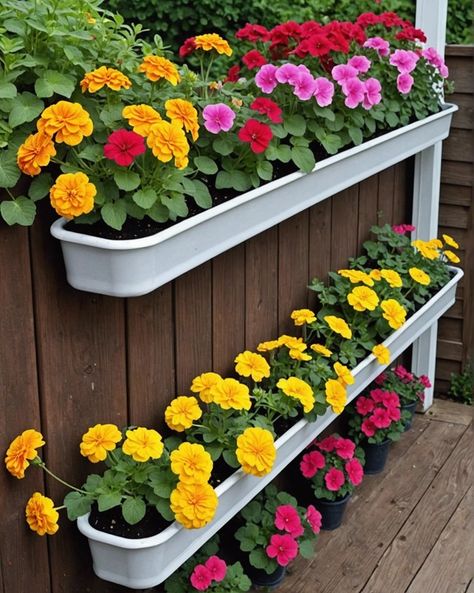 20 Colorful Container Gardening Ideas For Flowers - Toolz Geek Purple Salvia, Container Gardening Ideas, Ideas For Flowers, Gutter Garden, Bucket Gardening, Container Gardening Flowers, Black Eyed Susan, Petunias, Tropical Paradise