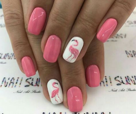 Flamingo Nails Tropical, Flamingo Nails Designs, Summer Fingernails, Pink Flamingo Nails, Nails Flamingo, Clubbing Nails, Flamingo Nail Art, Flamingo Nails, Cruise Nails