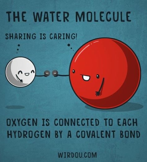 28 Chemistry Memes For The Science Geeks Chemistry Pictures, Chemistry Memes, Biology Humor, Chemistry Basics, Science Puns, Chemistry Classroom, Chemistry Humor, Chemistry Jokes, Covalent Bonding