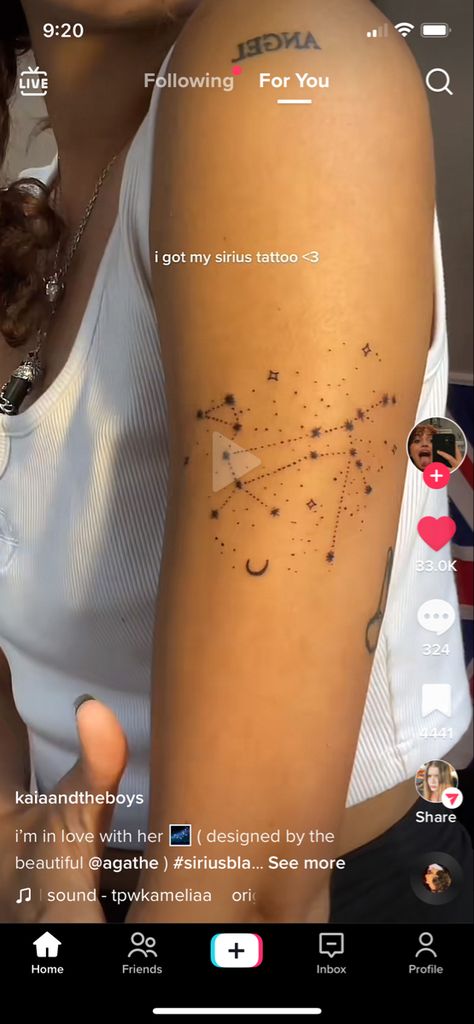 Canis Major Tattoo, Sirius Tattoo, Canis Major, Sirius Black, Tattoo Inspo, Minimalist Tattoo, Tattoos And Piercings, I Got This, Tik Tok