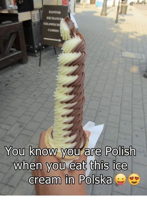 Poland Vacation, Polish Quotes, Polish People, Polish Memes, Visit Poland, Polish Language, Paisley Park, Polish Recipes, Here On Earth