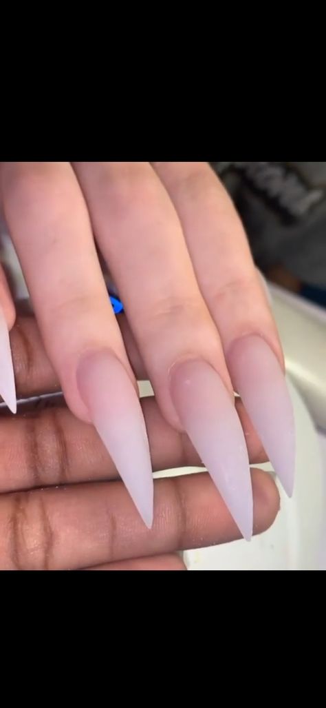 Round Stilleto Nails Long, White Nails Acrylic Stilettos, Long Nails Almond Shape, Claw Nails Designs Stilettos, Stalitoes Nails, Natural Stiletto Nails Acrylics, Clear Stilletos Nails, Acrylic Claw Nails, Classy Stilleto Nails