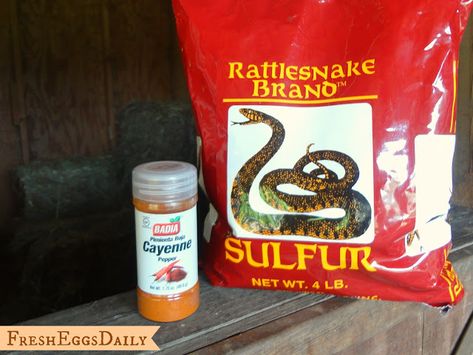 9 Tips to Keep Snakes out of your Chicken Coop - Fresh Eggs Daily® Portable Chicken Coop, Backyard Chicken Farming, Duck House, Best Chicken Coop, Duck Eggs, Hatching Eggs, Chicken Coop Plans, Backyard Chicken Coops, Chicken House