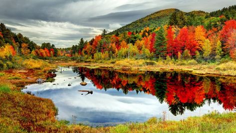 Beautiful Places In America, White Mountain National Forest, Places In America, Scenic Byway, Autumn Nature, White Mountains, Appalachian Trail, Fall Pictures, Fall Foliage