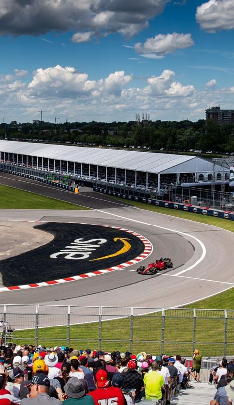 Ferrari F1 team Canada GP 2022 Ferrari F1 Team, Charles Leclerc 16, Racing Circuit, Team Canada, Ferrari F1, F1 Racing, Charles Leclerc, Race Track, Baseball Field