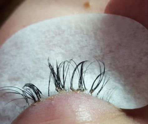 Eyelashes Falling Out, Salon Owner, Scalp Micropigmentation, Mother Runner, Beauty Face Women, Best Beauty Tips, Fake Lashes, Fake Eyelashes, Natural Lashes