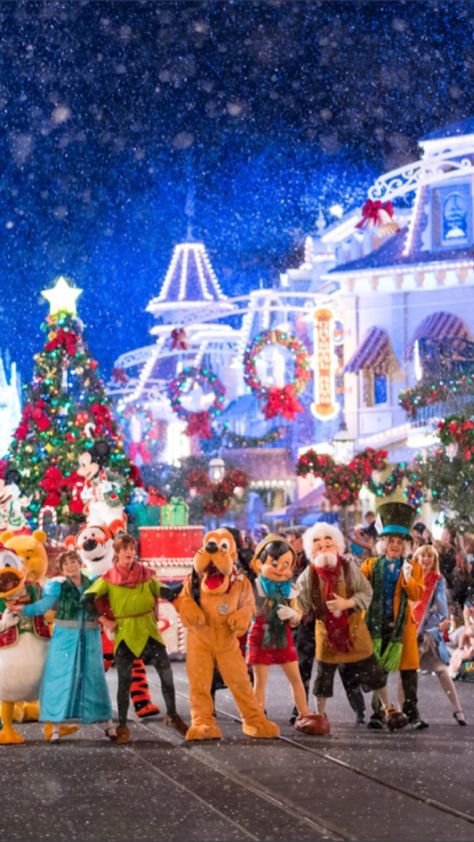 Mickey’s Very Merry Christmas Parade Disney Homescreen, Disney Christmas Parade, Pluto Christmas, Cell Wallpaper, Pirate Pictures, Christmas Desktop Wallpaper, Christmas Nostalgia, Studying Motivation, Disney World Christmas