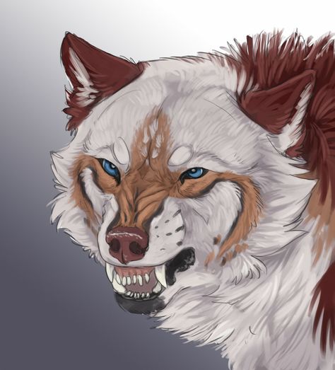 Wolf Oc Art, Wolf Oc, Mythical Creature Art, Anime Wolves, Wolf Colors, Canine Drawing, Wolf Hybrid, Wolf Artwork, Fantasy Wolf