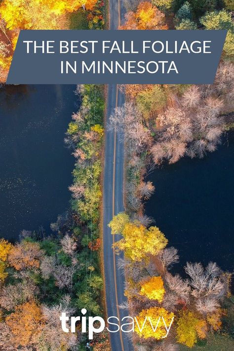 The Best Places to See Fall Colors in Minnesota Minnesota Fall, Minnesota Travel, Fall Travel, Going On A Trip, Fall Color, Right Time, Fall Foliage, Places To See, Fall Colors