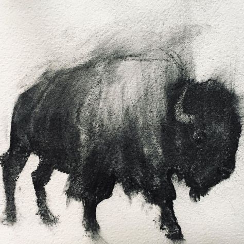 Polina Akhmetzhanova (@akh_poli_art) posted on Instagram: “Hi, bison #art #artist #artwork #gallery #artoftheday #instaart #instaartist #sketch #draw #drawing #illustration #illustrator #charcoal…” • Mar 2, 2021 at 7:23pm UTC Charcoal Wildlife Art, Deer Charcoal Drawing, Ethan Tattoo, Buffalo Images, Bison Drawing, Narcissus Poeticus, Buffalo Drawing, Bison Artwork, Charcoal Illustration