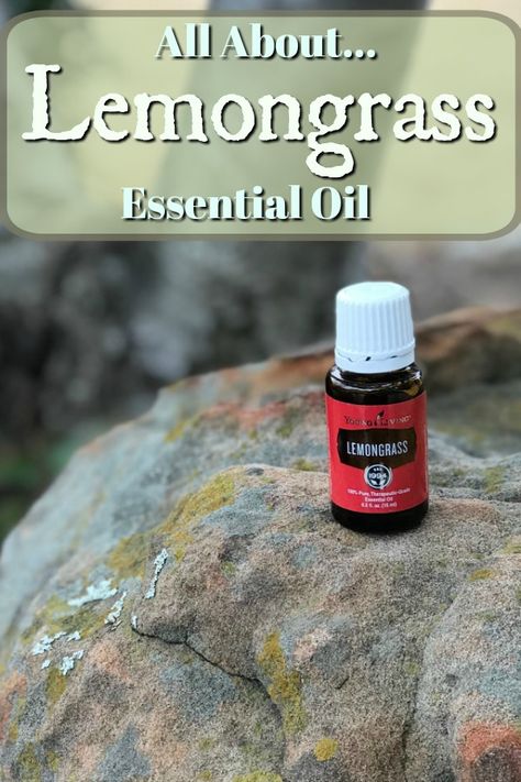 Lemongrass Essential Oil Recipes, Lemongrass Essential Oil Benefits, Lemongrass Essential Oil Uses, Essential Oils For Colds, Aromatherapy Recipes, Young Living Essential Oils Recipes, Oil Diffuser Recipes, Yl Essential Oils, Essential Oil Benefits