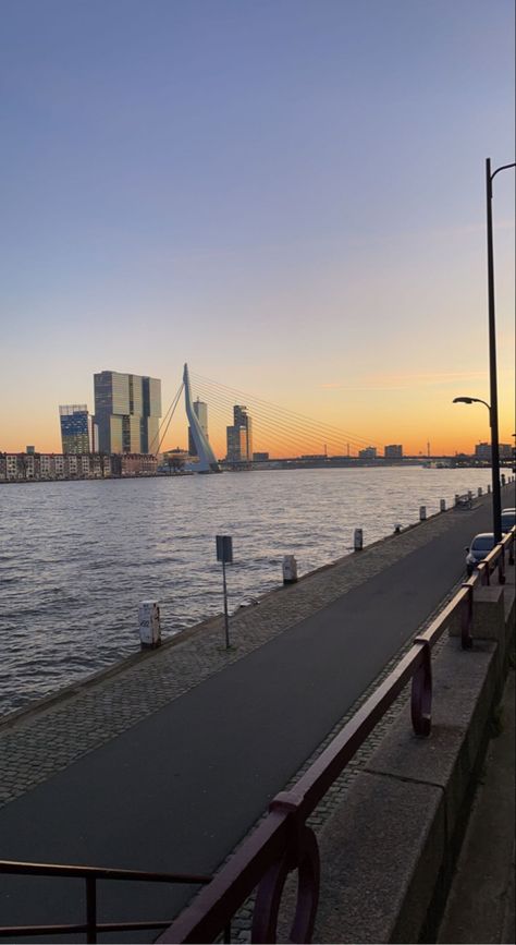 #dutch #netherlands #city #bridge #erasmus #rotterdam Erasmus University Rotterdam, Netherlands City, 2025 Goals, Sunrise City, Dutch Netherlands, Rotterdam Netherlands, Boy Tattoos, Soft Girl, Rotterdam